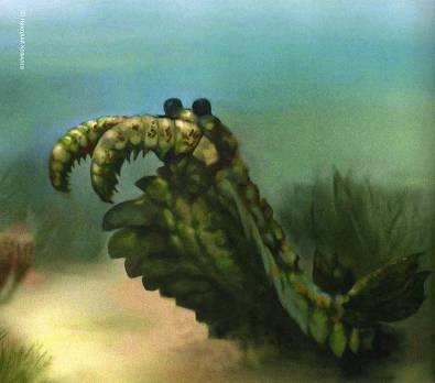 Иллюстрация к книге — Рождение сложности. Эволюционная биология сегодня. Неожиданные открытия и новые вопросы [i_103.jpg]