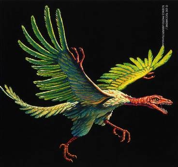 Иллюстрация к книге — Рождение сложности. Эволюционная биология сегодня. Неожиданные открытия и новые вопросы [i_104.jpg]