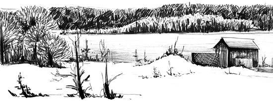 Иллюстрация к книге — Лесные тайнички [i_008.jpg]