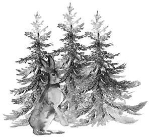 Иллюстрация к книге — Лесные тайнички [i_017.jpg]