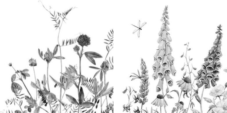 Иллюстрация к книге — Лесные тайнички [i_039.jpg]