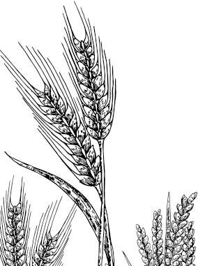 Иллюстрация к книге — Лесные тайнички [i_045.jpg]