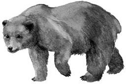 Иллюстрация к книге — Лесные тайнички [i_047.jpg]