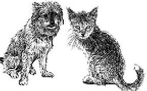 Иллюстрация к книге — Лесные тайнички [i_081.jpg]