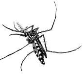 Иллюстрация к книге — Лесные тайнички [i_087.jpg]