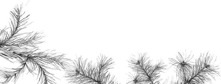 Иллюстрация к книге — Лесные тайнички [i_090.jpg]