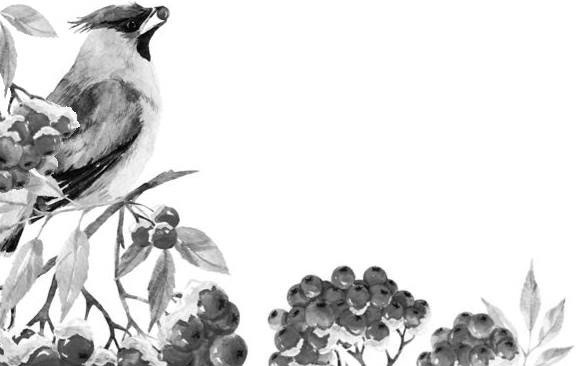 Иллюстрация к книге — Лесные тайнички [i_095.jpg]