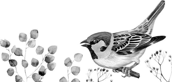 Иллюстрация к книге — Лесные тайнички [i_106.jpg]