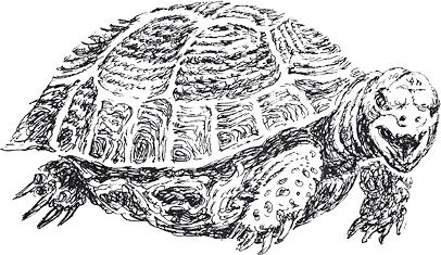 Иллюстрация к книге — Золото скифов [i_013.jpg]