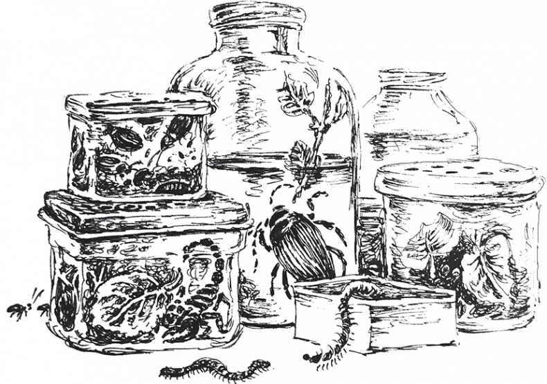 Иллюстрация к книге — Золото скифов [i_021.jpg]