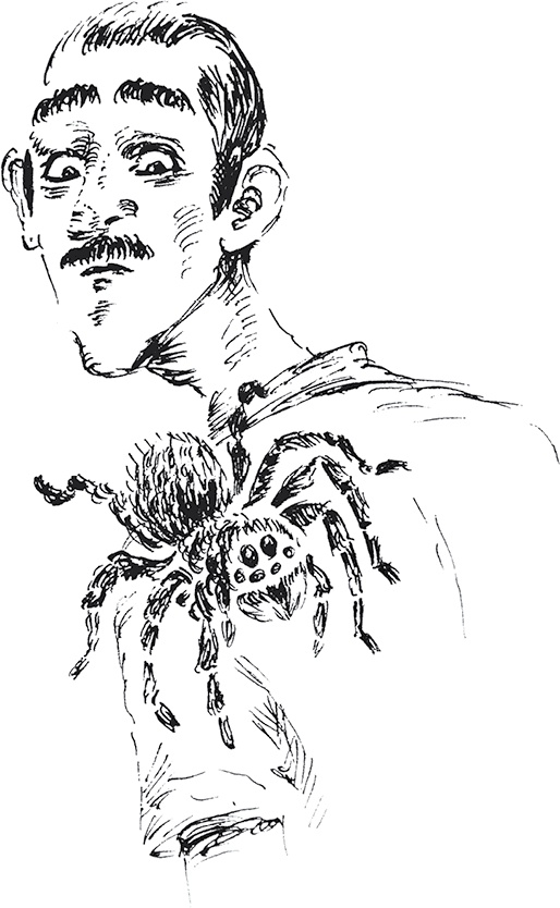 Иллюстрация к книге — Золото скифов [i_027.jpg]