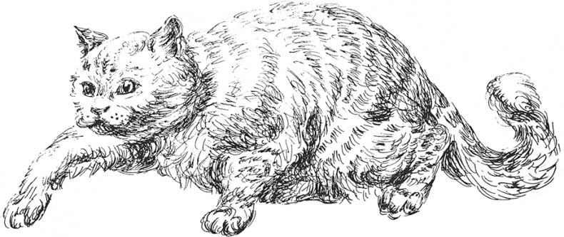 Иллюстрация к книге — Золото скифов [i_028.jpg]