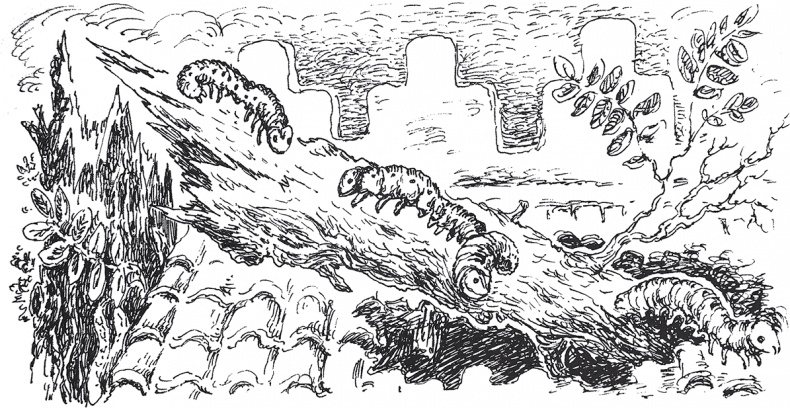 Иллюстрация к книге — Золото скифов [i_031.jpg]