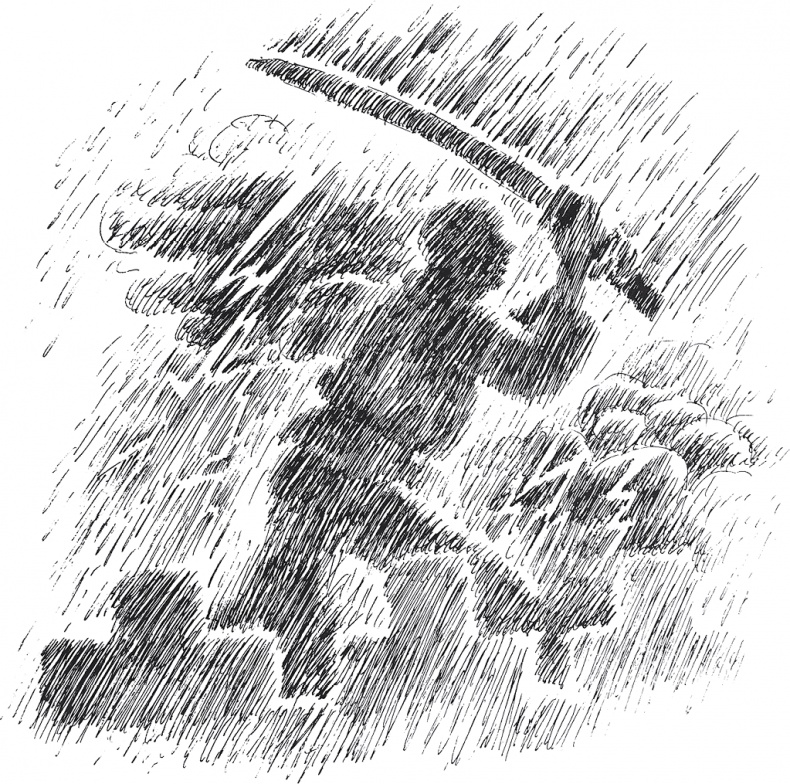 Иллюстрация к книге — Золото скифов [i_047.jpg]