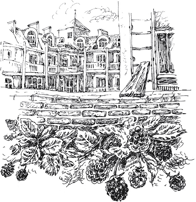 Иллюстрация к книге — Золото скифов [i_086.jpg]