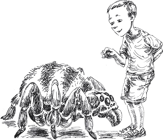 Иллюстрация к книге — Золото скифов [i_095.jpg]