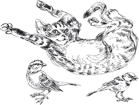 Иллюстрация к книге — Золото скифов [i_123.jpg]