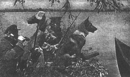 Иллюстрация к книге — Десанты 1941 года [i_008.jpg]