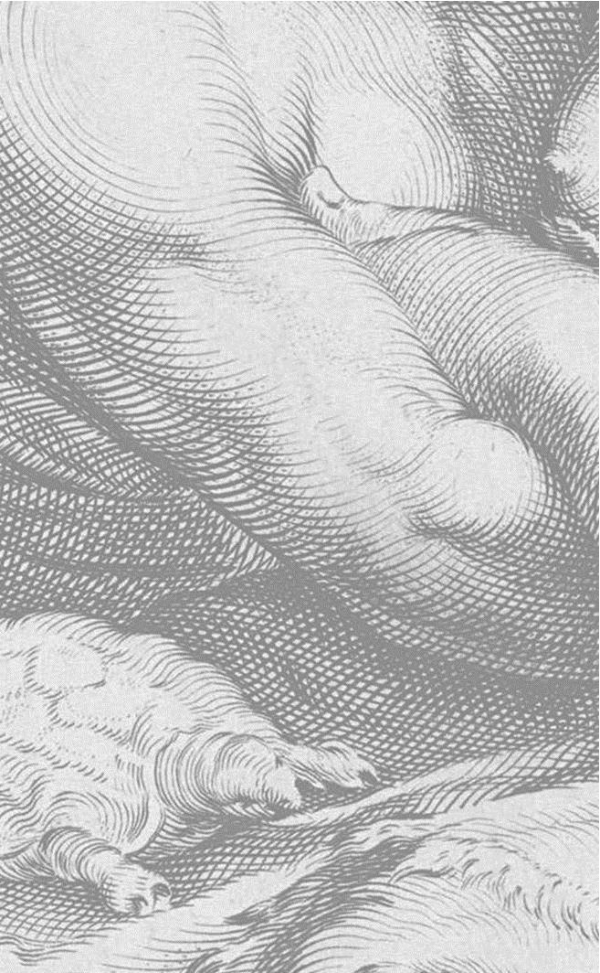 Иллюстрация к книге — Секс. От нейробиологии либидо до виртуального порно. Научно-популярный гид [i_005.jpg]