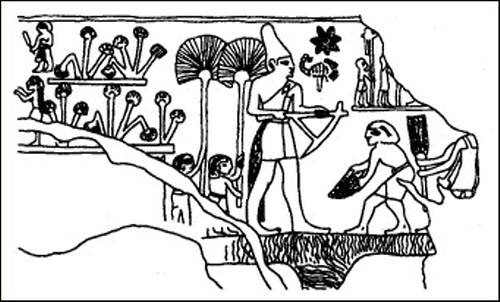 Иллюстрация к книге — Путь Феникса. Тайны забытой цивилизации [i_038.jpg]