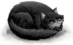 Иллюстрация к книге — Только не Айви Покет! [i_028.jpg]