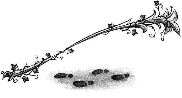 Иллюстрация к книге — Только не Айви Покет! [i_039.jpg]