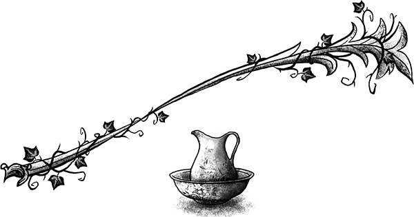 Иллюстрация к книге — Только не Айви Покет! [i_061.jpg]