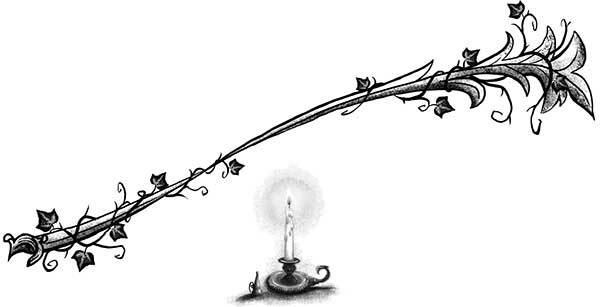 Иллюстрация к книге — Только не Айви Покет! [i_069.jpg]