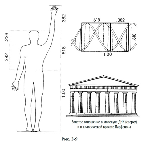 Иллюстрация к книге — Волновой принцип Эллиотта: Ключ к пониманию рынка [i_092.jpg]