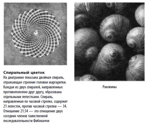 Иллюстрация к книге — Волновой принцип Эллиотта: Ключ к пониманию рынка [i_093.jpg]