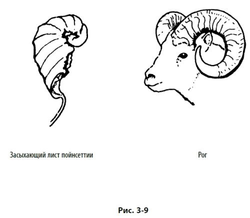 Иллюстрация к книге — Волновой принцип Эллиотта: Ключ к пониманию рынка [i_094.jpg]
