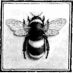 Иллюстрация к книге — Пастушья корона [i_009.jpg]