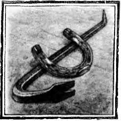 Иллюстрация к книге — Пастушья корона [i_020.jpg]