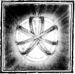 Иллюстрация к книге — Пастушья корона [i_023.jpg]