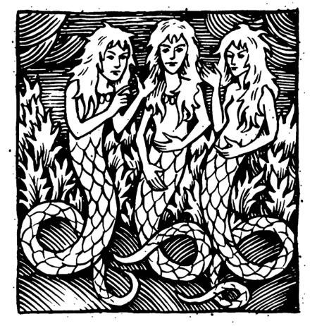 Иллюстрация к книге — Месть Ведьмака [i_005.jpg]