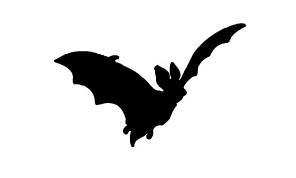 Иллюстрация к книге — Месть Ведьмака [i_016.jpg]