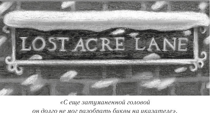 Иллюстрация к книге — Загадочный город [i_005.jpg]