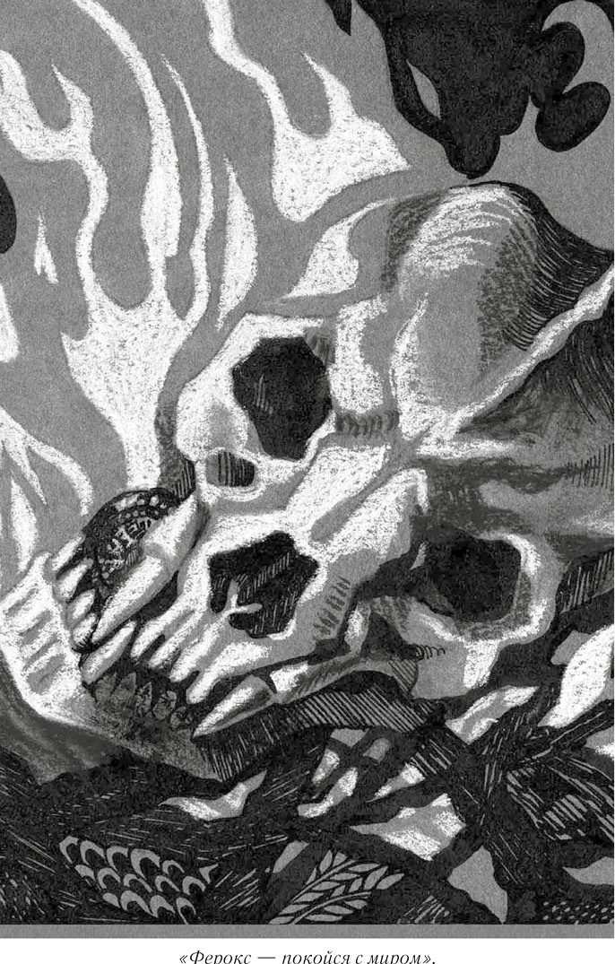 Иллюстрация к книге — Загадочный город [i_017.jpg]