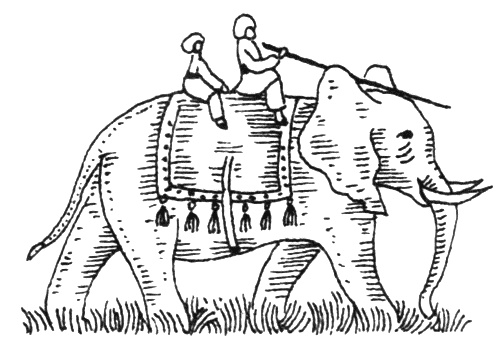 Иллюстрация к книге — Из варяг в Индию [i_003.jpg]