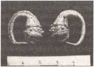 Иллюстрация к книге — По следам древних кладов. Мистика и реальность [i_043.jpg]