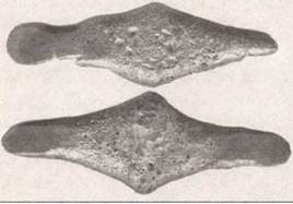 Иллюстрация к книге — По следам древних кладов. Мистика и реальность [i_079.jpg]