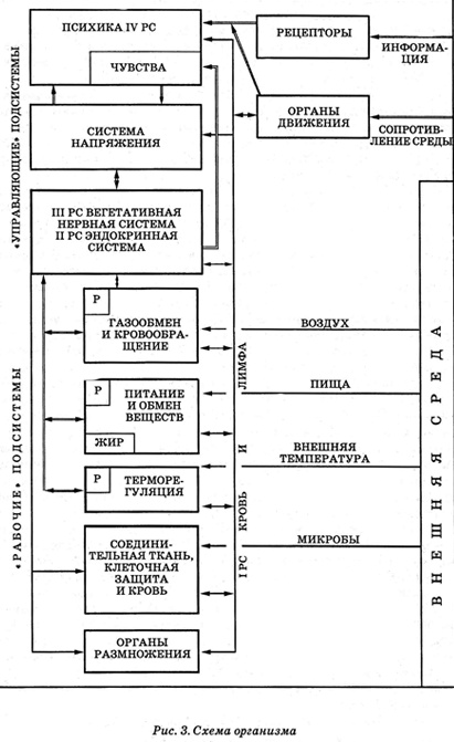 Иллюстрация к книге — Энциклопедия Амосова. Алгоритм здоровья [i_005.jpg]