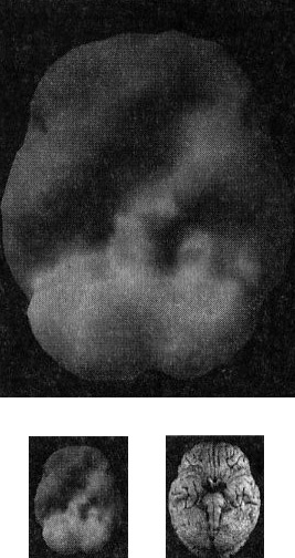 Иллюстрация к книге — Мозг. От хорошего к превосходному [i_002.jpg]