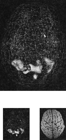 Иллюстрация к книге — Мозг. От хорошего к превосходному [i_003.jpg]