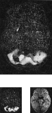 Иллюстрация к книге — Мозг. От хорошего к превосходному [i_004.jpg]