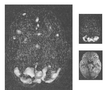 Иллюстрация к книге — Мозг. От хорошего к превосходному [img248copy.jpg]