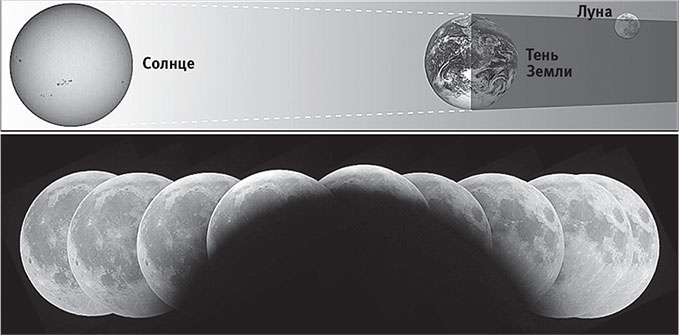 Иллюстрация к книге — Наша математическая вселенная. В поисках фундаментальной природы реальности [i_008.jpg]