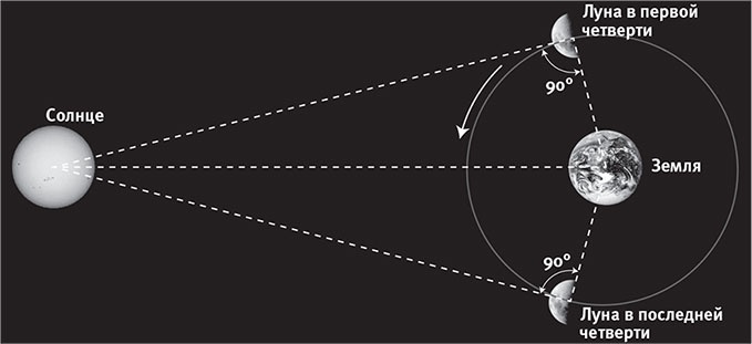 Иллюстрация к книге — Наша математическая вселенная. В поисках фундаментальной природы реальности [i_009.jpg]