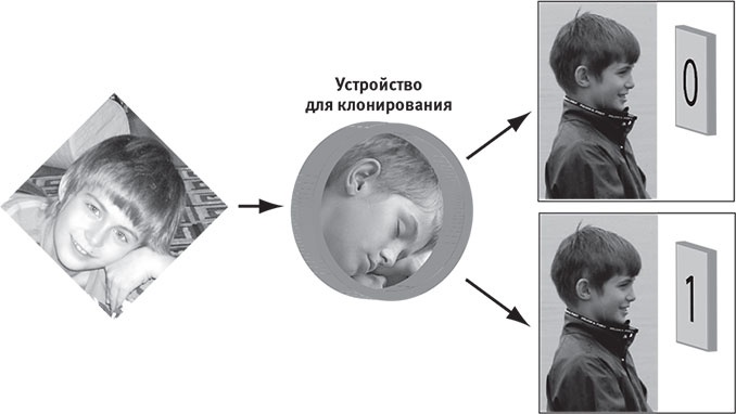 Иллюстрация к книге — Наша математическая вселенная. В поисках фундаментальной природы реальности [i_064.jpg]