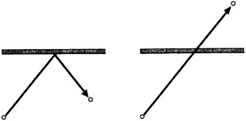 Иллюстрация к книге — Истина и красота. Всемирная история симметрии [i_033.jpg]